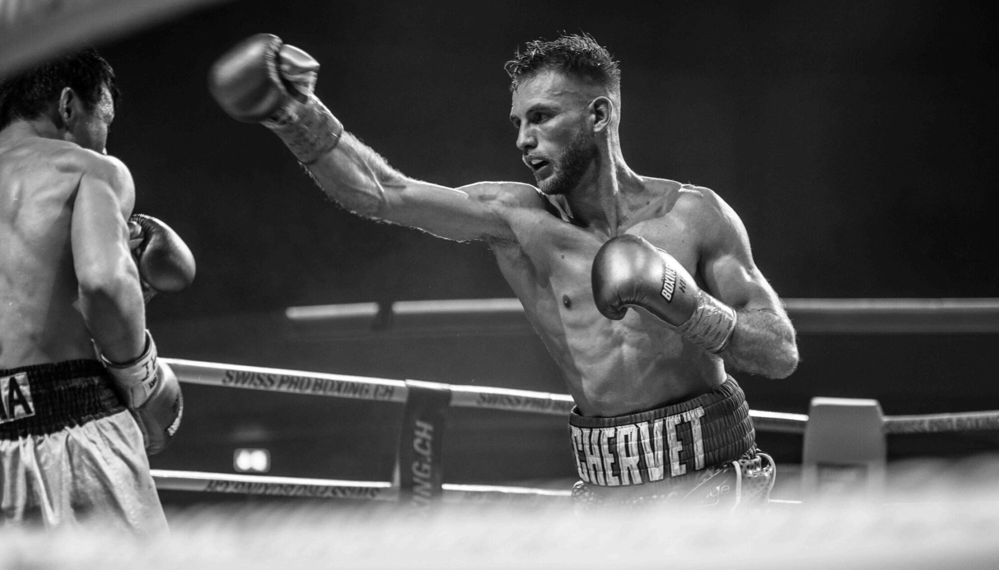 Main image of Boxing Kings Club AG