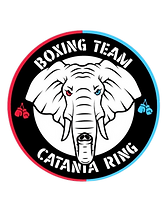 Boxing team Catania ring academy photo