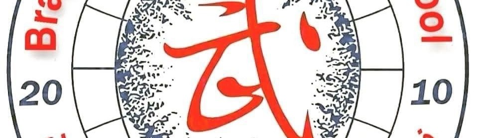 Main image of Brayan Kung Fu wushu school