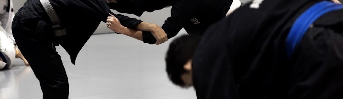 Main image of Brazil car jiujitsu capoeira top team
