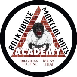 Main image of Brikhouse Martial Arts Academy