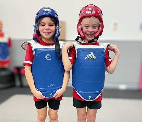 Main image of British Taekwondo Schools
