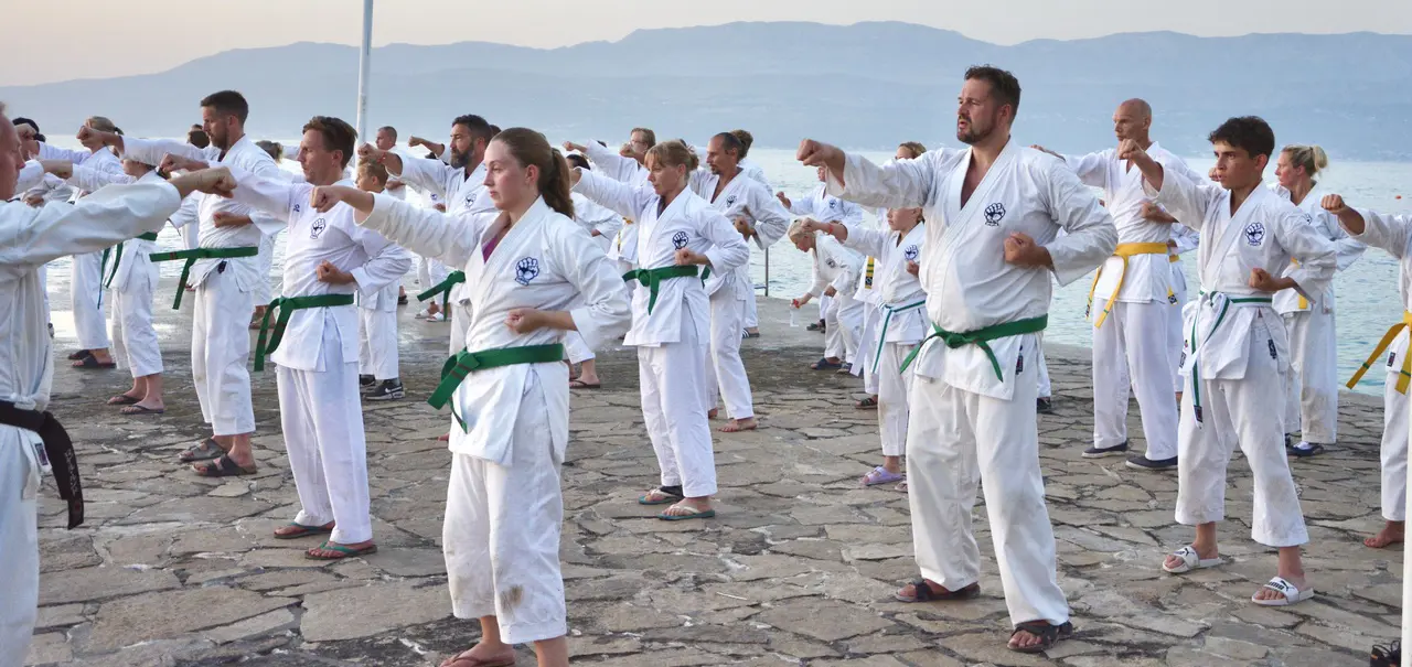 Main image of Bromma Goju Ryu Karateakademi
