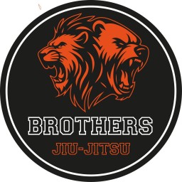 Main image of Brothers jiu-jitsu