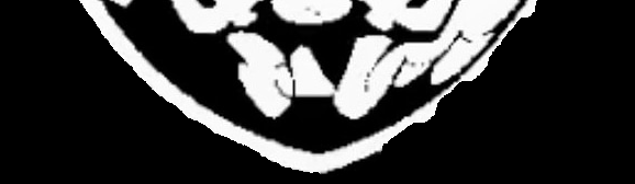 Main image of Bruno pernambuco BJJ MMA Team
