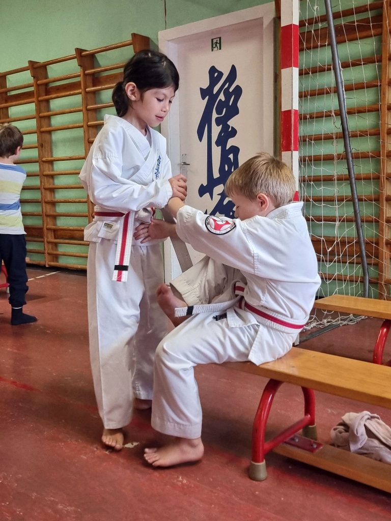 Main image of BS Karate