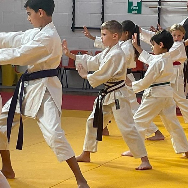 Main image of BSKA Wombourne Sankukai Karate