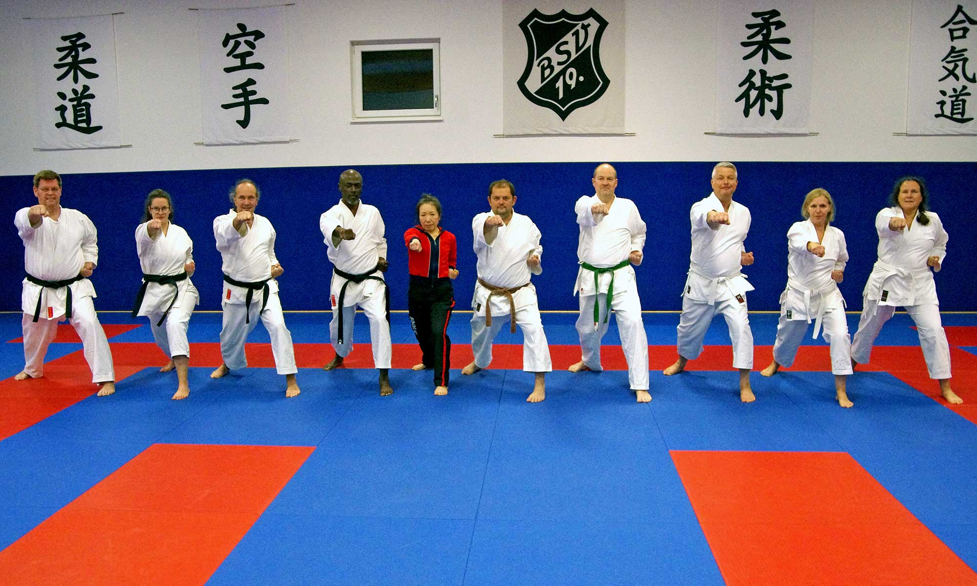 Main image of BSV19 Ju Jutsu