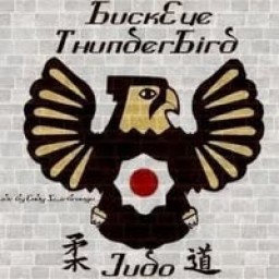 Main image of buckeye thunderbird judo club