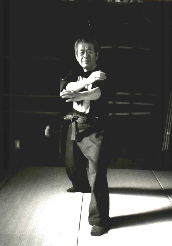 Main image of Budapest Ninjutsu - Harcművészeti edzések