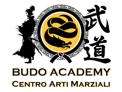 Main image of Budo Academy