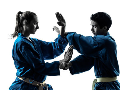 Main image of Budo Akademie Zanshin