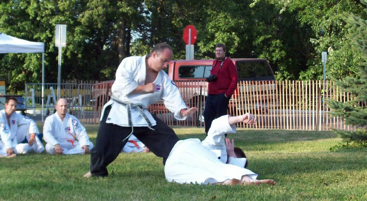 Main image of Budo - Beyond Martial Arts