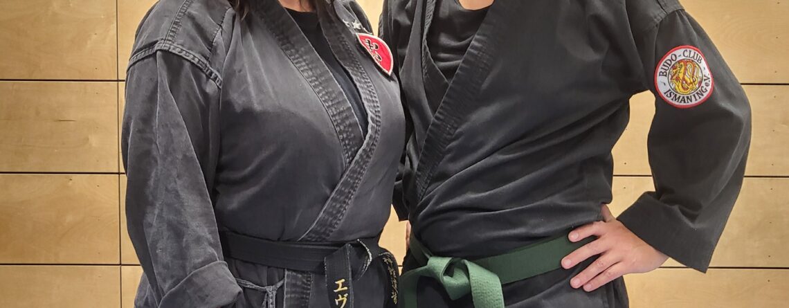 Main image of Budo-Club Ismaning