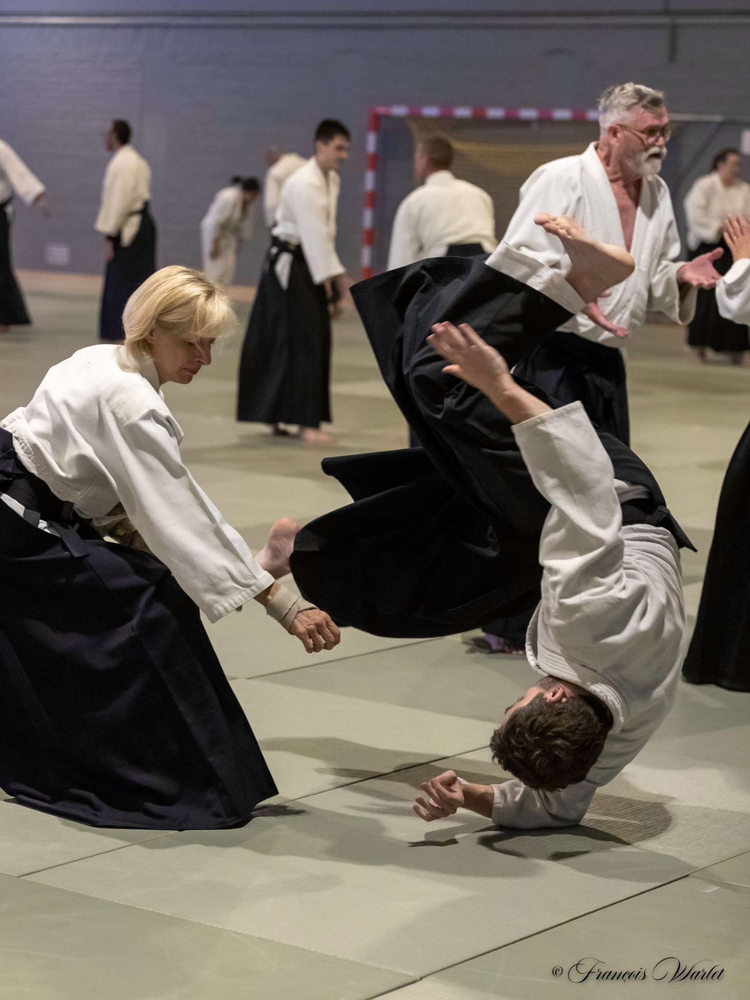 Main image of Budo Club Samourai
