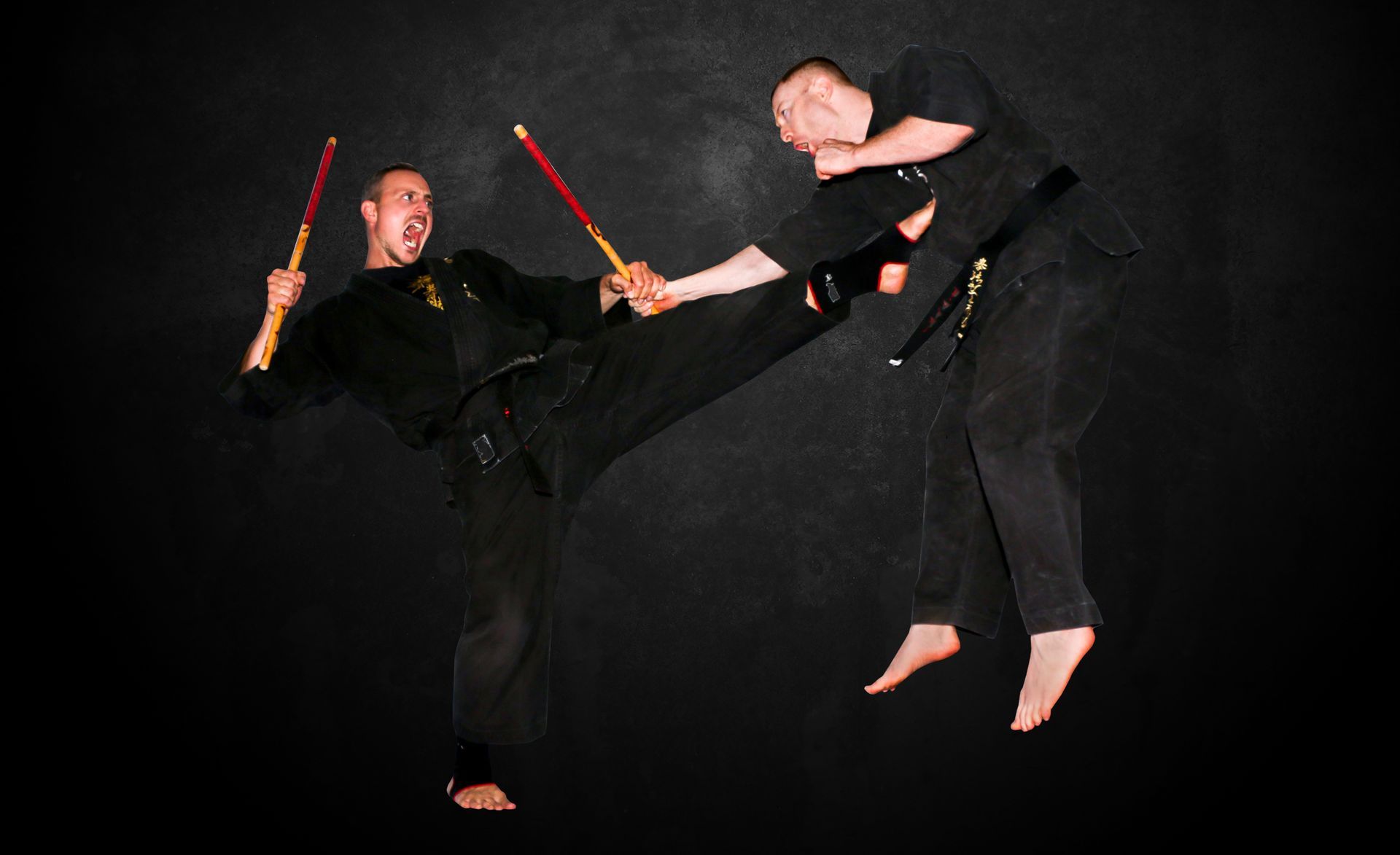 Main image of Budo Club Todtnau