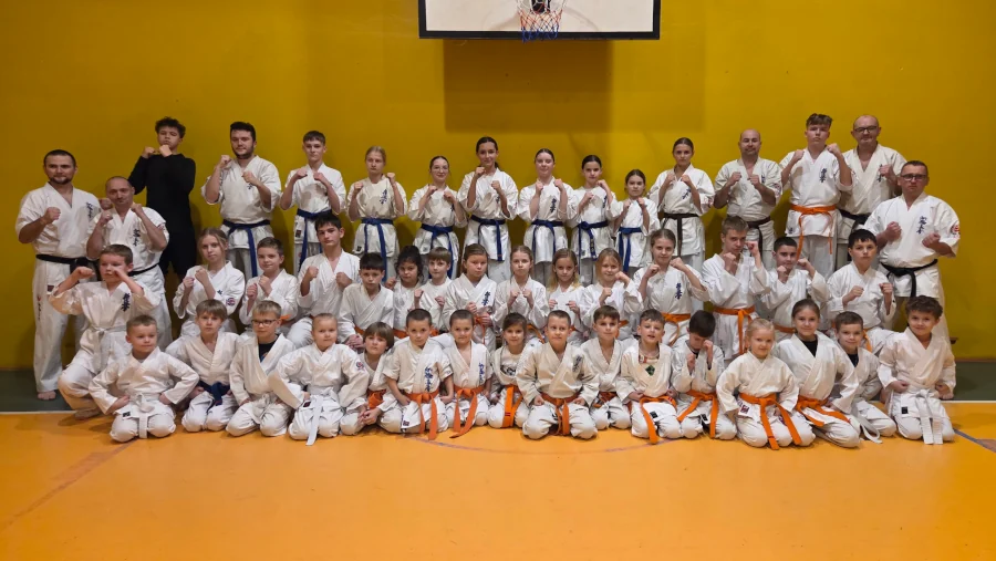 Main image of BUDO Krosno