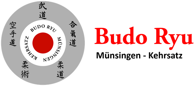 Main image of Budo Ryu
