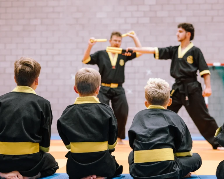 Main image of Budo Ryu Sports Sittard