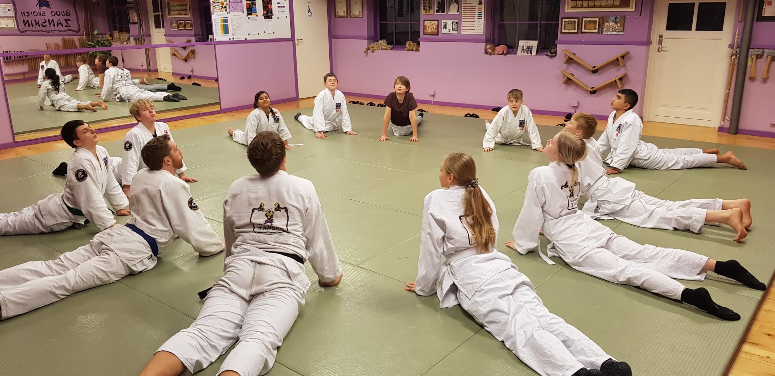 Main image of Budo School Zanshin