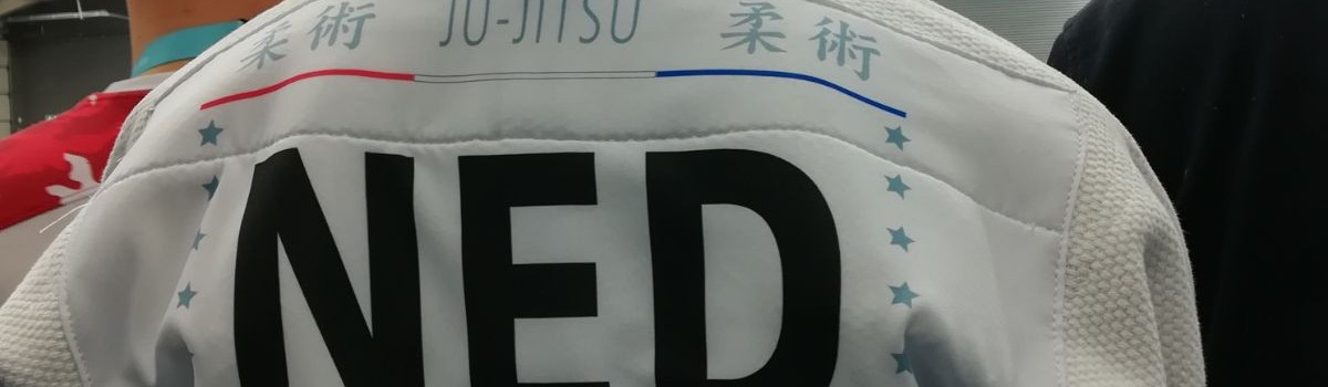 Main image of Budo Sport Shizentai