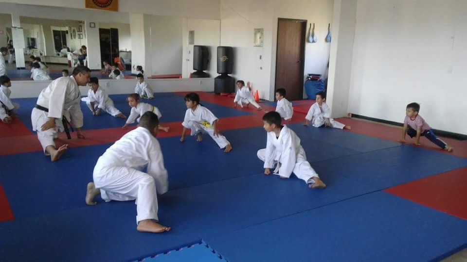 Main image of Budo Zone