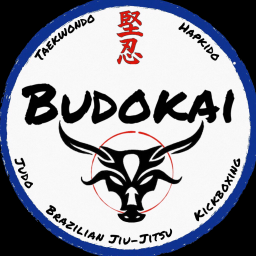 Main image of Budokai Jiu-Jitsu