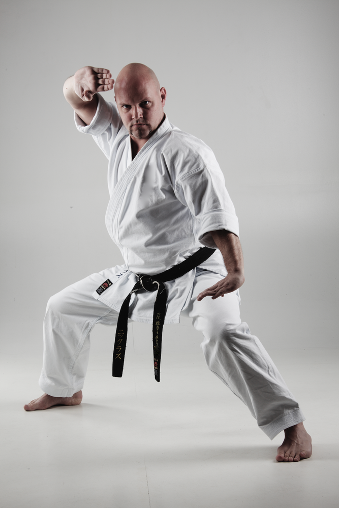 Main image of Budokai Mels