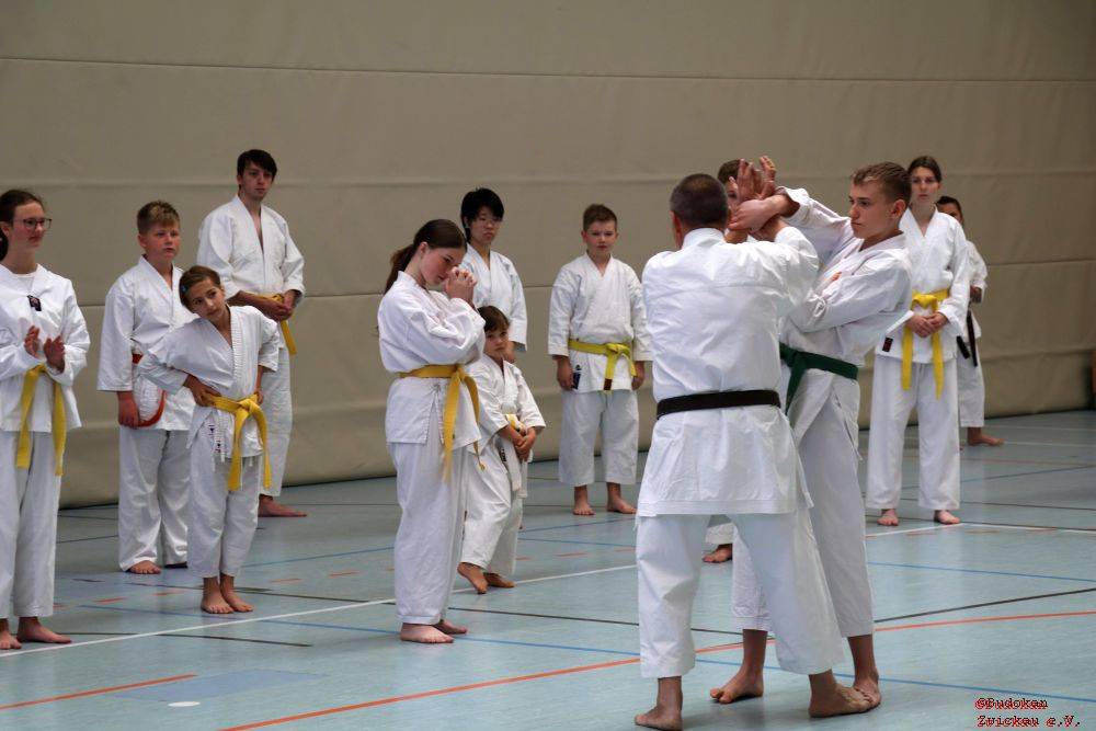 Main image of Budokan Zwickau E.v.