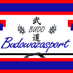 Main image of Budowazasport