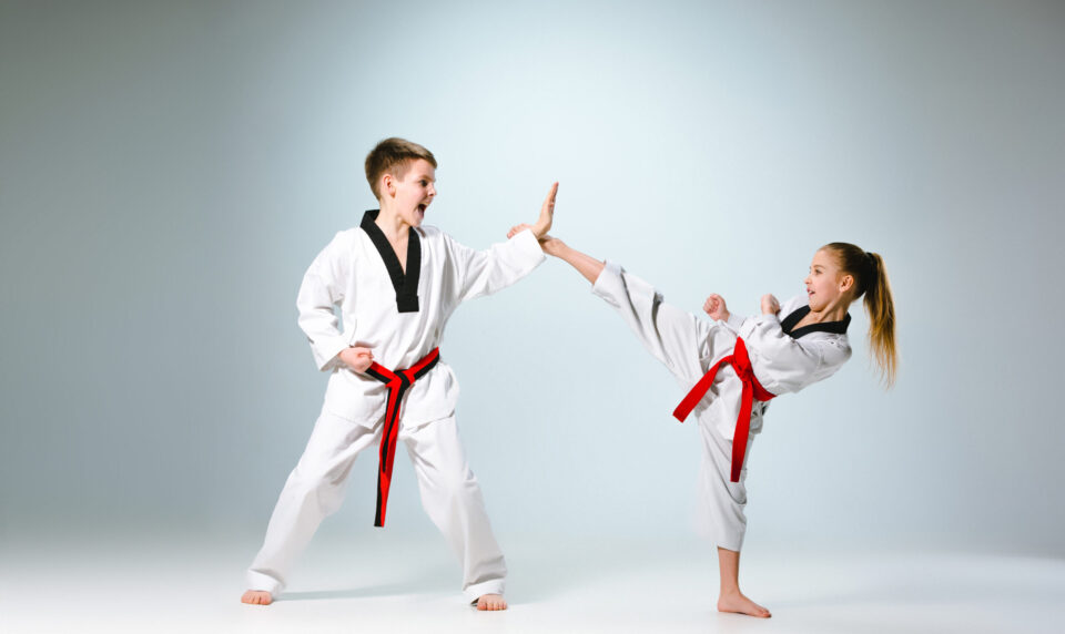 Main image of Built By Martial Arts