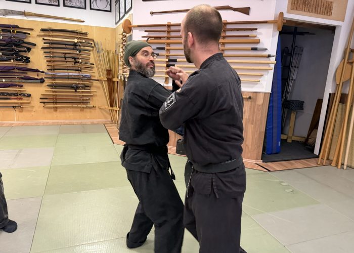 Main image of Bujinkan Dōjō Ninpō Saar