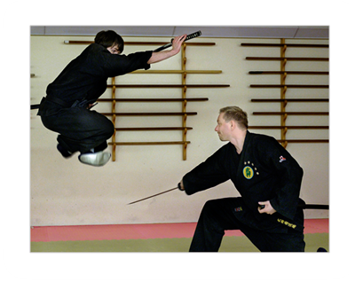 Main image of Bujinkan Dojo Zwickau