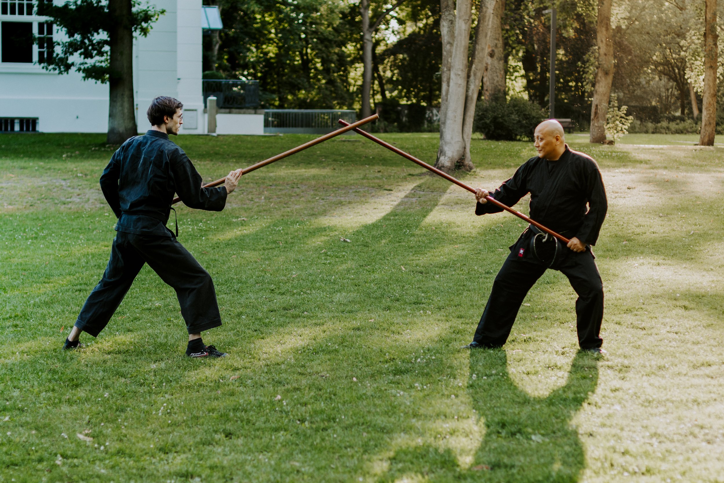Main image of Bujinkan Hoshi Dôjô Hamburg