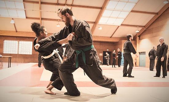 Main image of Bujinkan Kitamori Dôjô Lille, ninjutsu et self défense