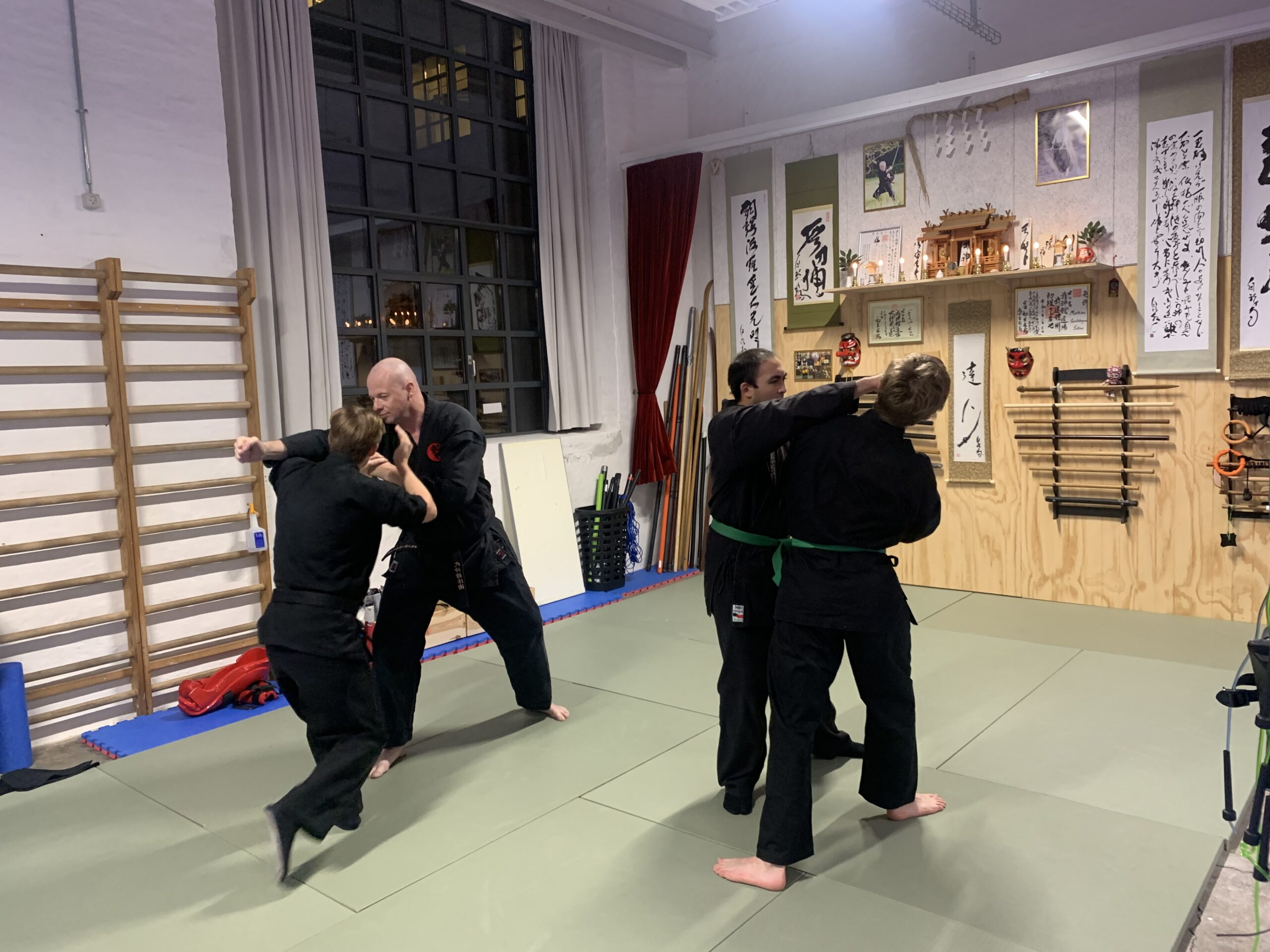 Main image of Bujinkan Tatsujin Dojo