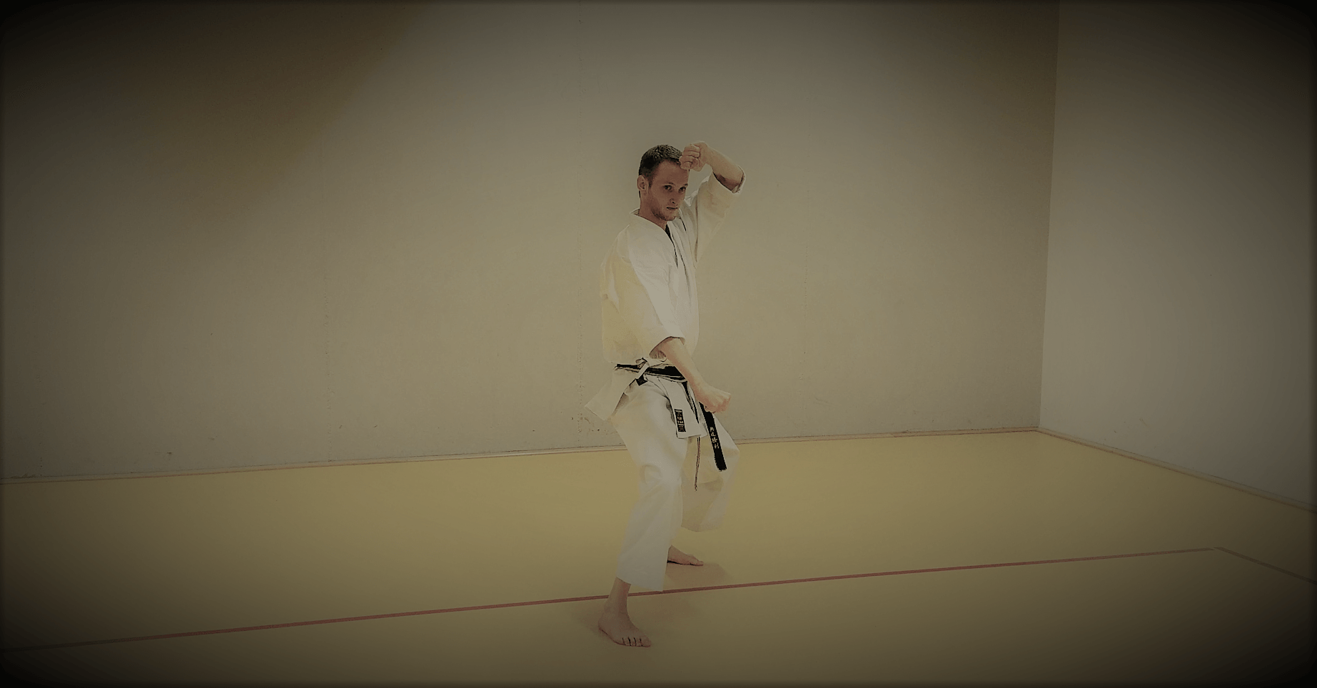 Main image of Bujutsu Hannover