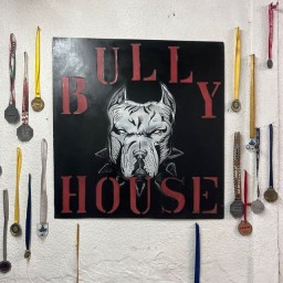 Main image of Bully HOUSE FIGHTERS