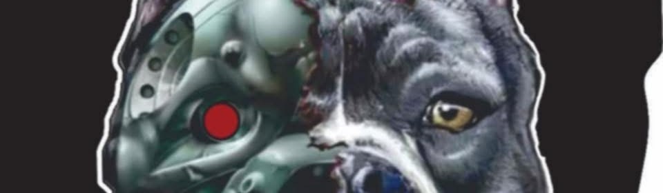 Main image of Bully MMA and Fitness