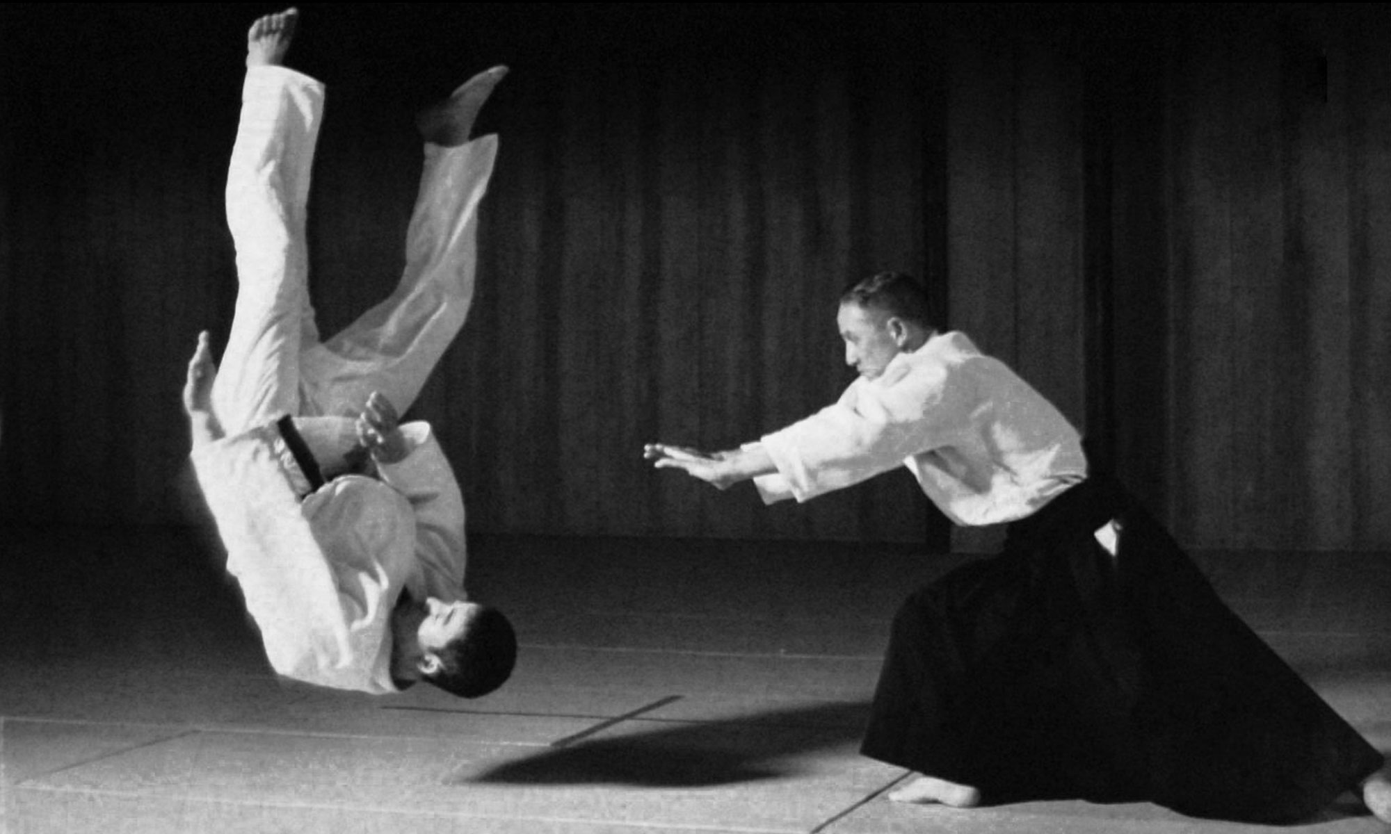 Main image of Buseikan Dojo Yoshinkan Aikido CFB Borden