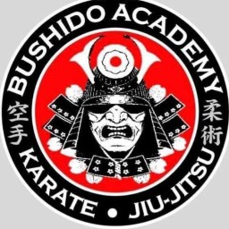 Main image of Bushido Academy Kingsport