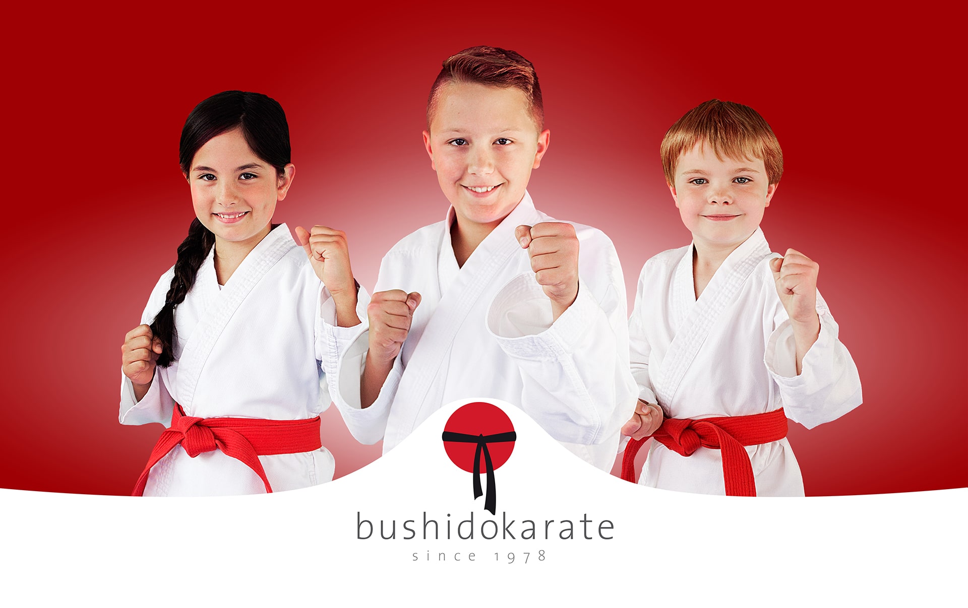 Main image of Bushido Alfeld E.v.