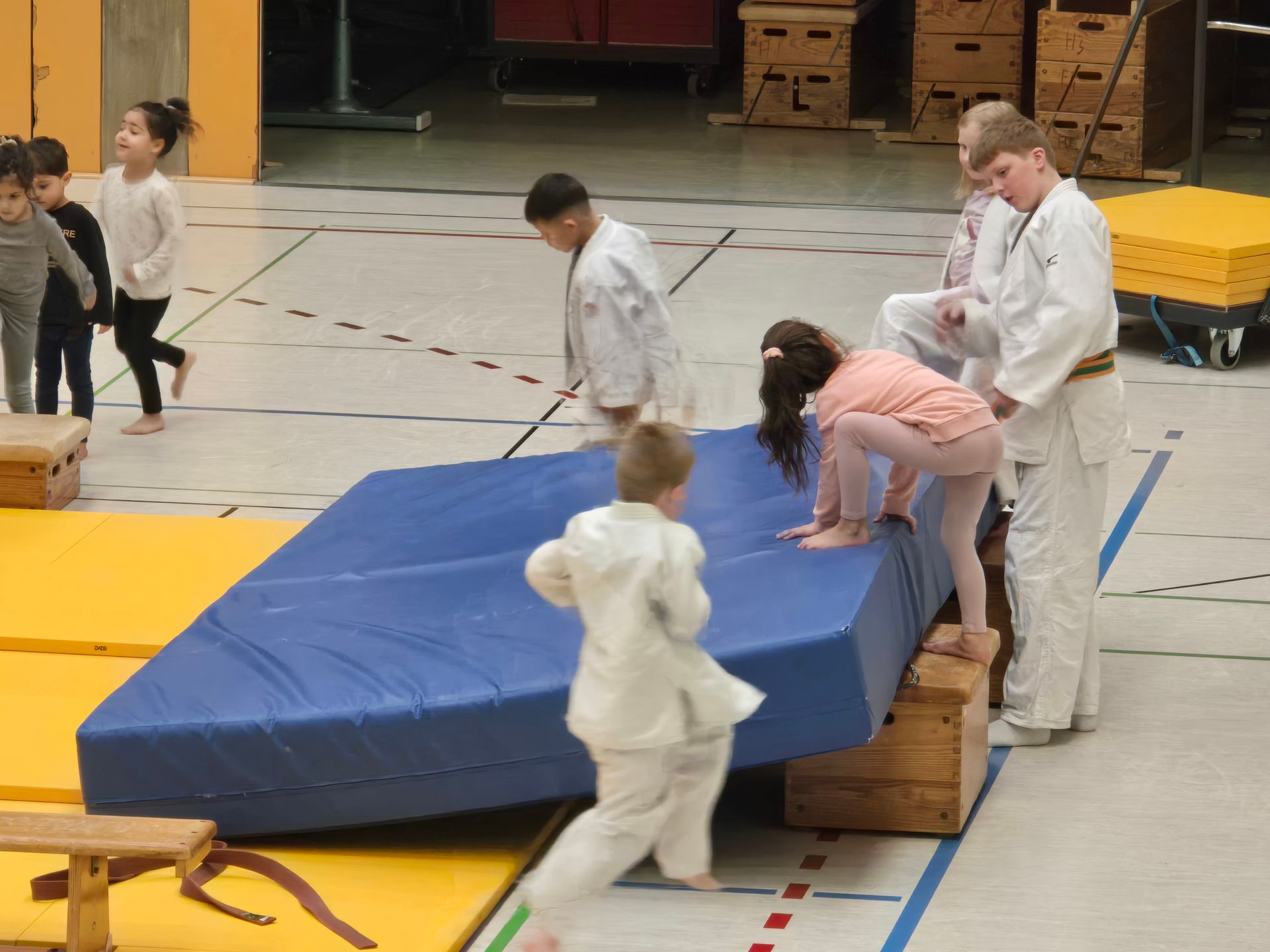 Main image of Bushido Bestwig e.V.