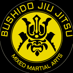 Main image of Bushido Caracas Jiu Jitsu / MMA