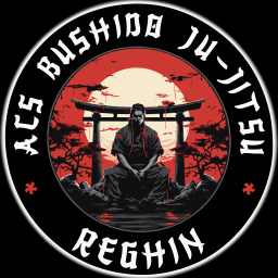 Main image of Bushido Ju-jistu Reghin
