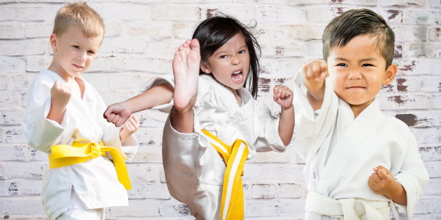 Main image of Bushido Karate Center