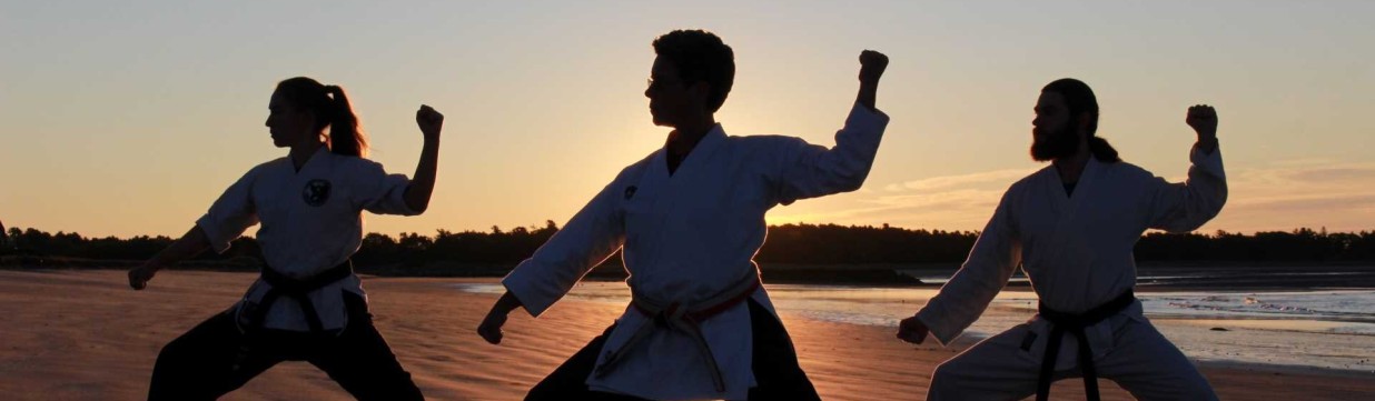 Main image of Bushido Karate Dojo