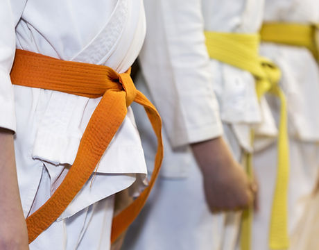 Main image of Bushido Martial Arts Association