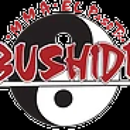 Main image of Bushido MMA and BJJ Academy