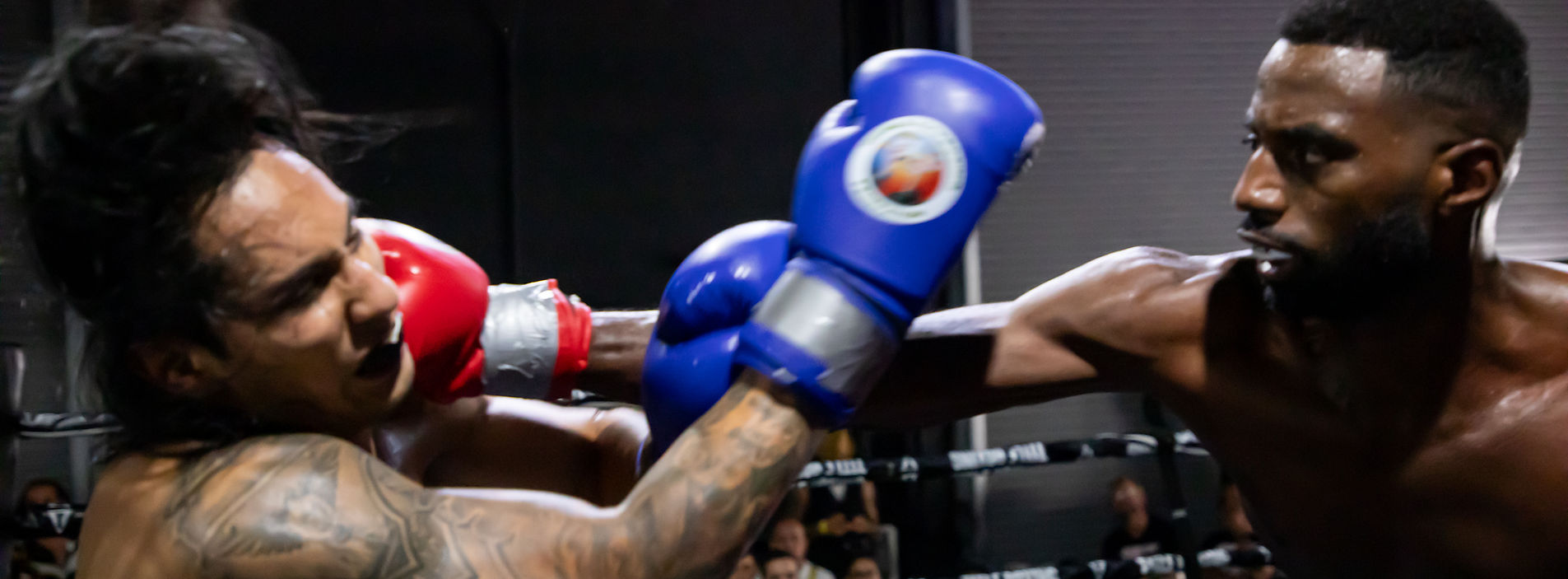 Bushido Muay Thai & Martial Arts Miami academy photo
